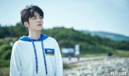 最新爆料张新成,揭秘明星背后的故事